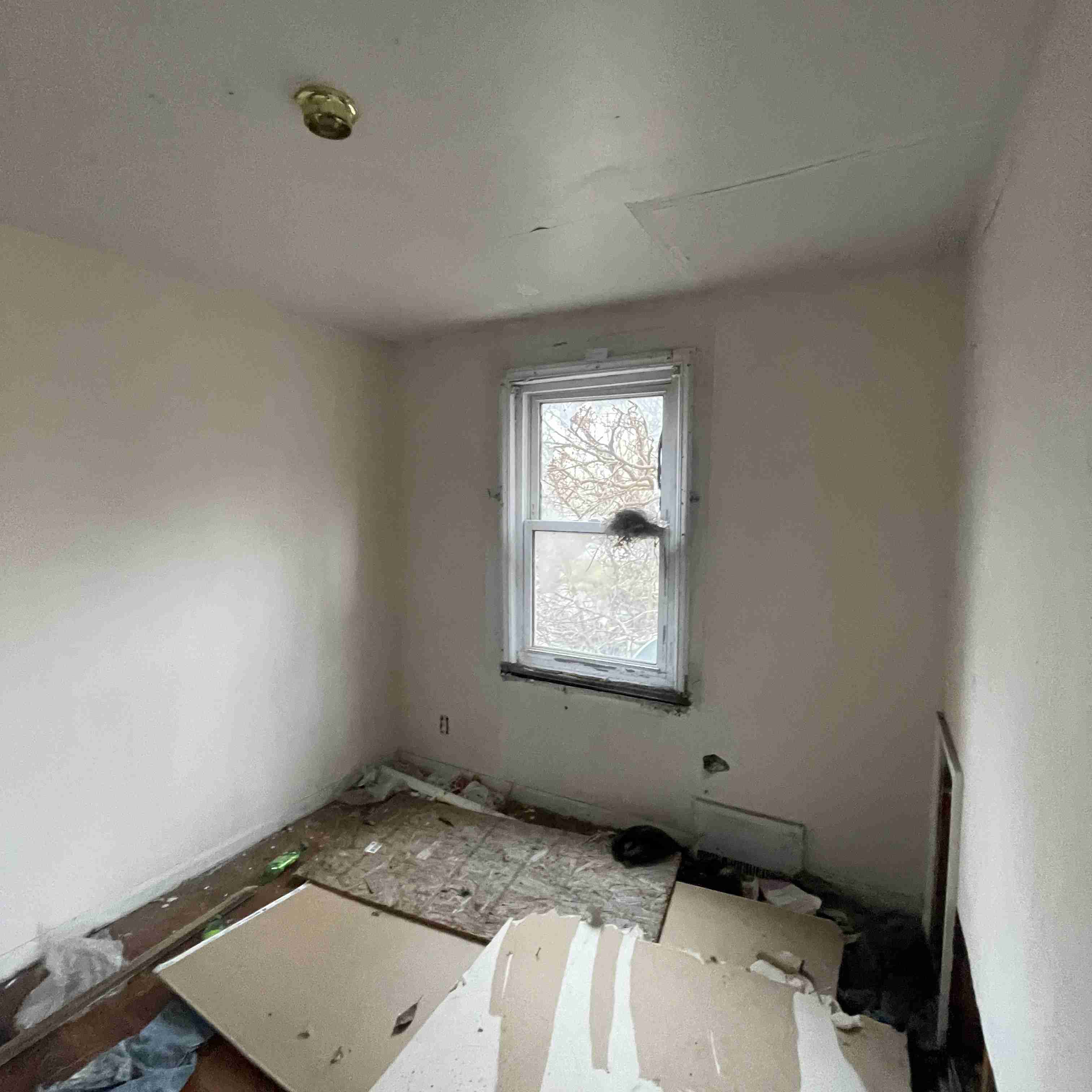 20017 Schoenherr (91).jpg